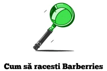 Cum să racesti Barberries